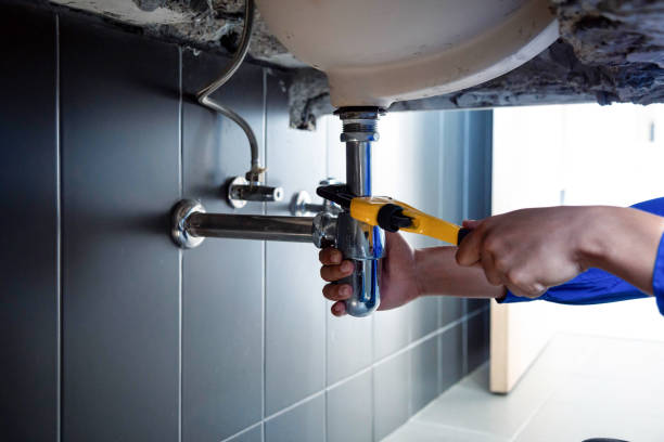  Westbury, NY Plumbing Services Pros